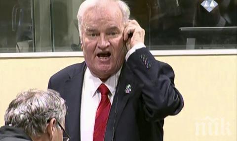 Защитата на Ратко Младич поиска отмяна на доживотната му присъда