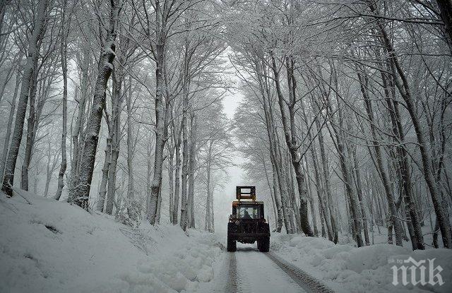 Метър и половина сняг затрупа Япония
