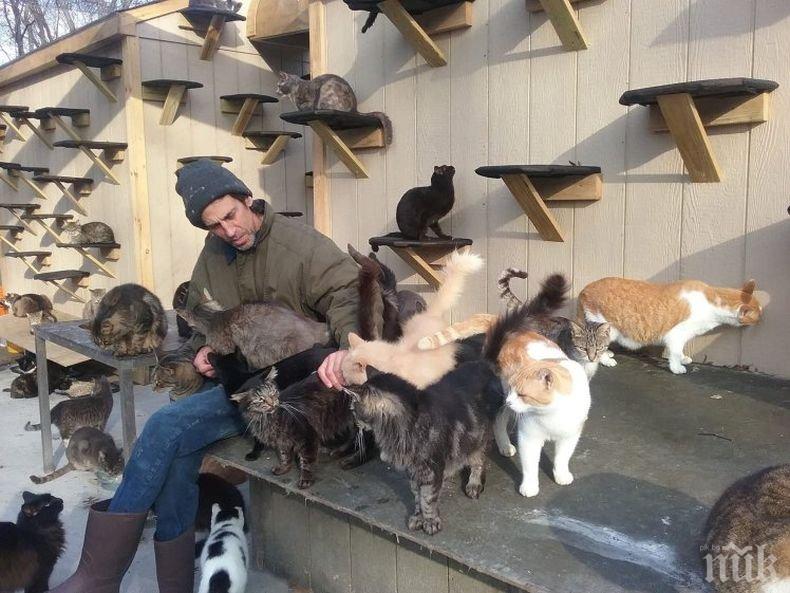 ВЛАСТЕЛИНЪТ НА КОТКИТЕ! Американец построи земен рай за 300 писани (СНИМКИ)