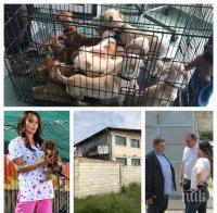 УНИКУМ! НАП обяви на търг кучетата от концлагера в Звездица! Спасителката им Светлана Хънт изригна срещу бирниците (СНИМКИ)