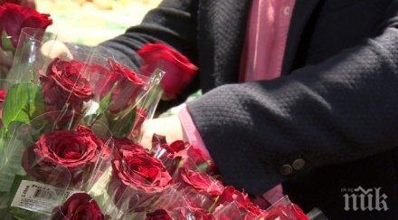 парадокс страната розите купуваме цветя кения деня влюбените