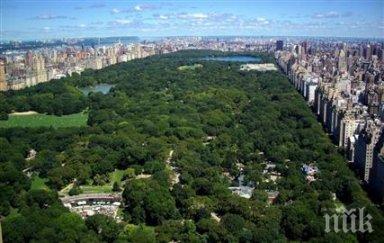 собствениците земи парк бедечка жалват съда страсбург