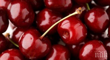 черешите цена злато