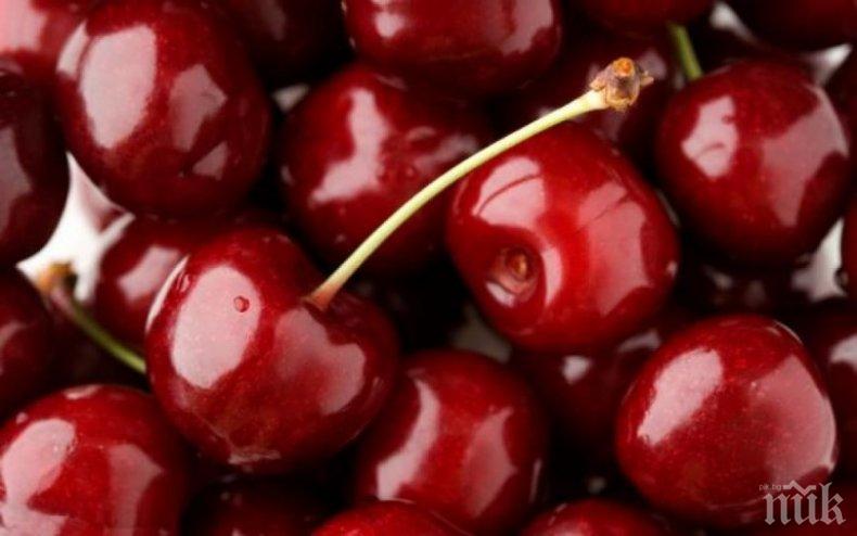 Черешите с цена на злато