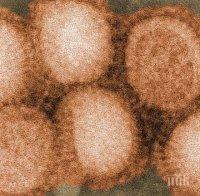 ОПАСЕН ВИРУС! Птичи грип с щам H7N4 тръгна и по хората