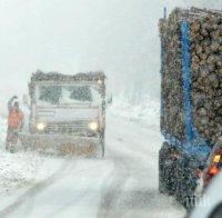 Снегът скъса далекопровод - белоградчишки села бедстват без ток