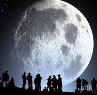 Имотите на Луната скочили 1645 пъти за 40 години (ВИДЕО)