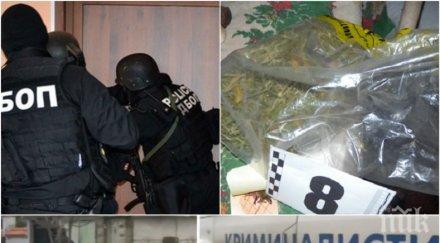 акция задържани казанлък осем души произвеждали марихуана австрия