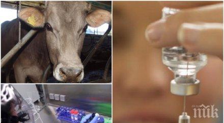 смъртоносна болест съмнения антракс село северна българия