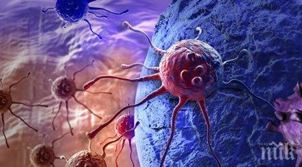 учените откриха пряка връзка преработените храни рака