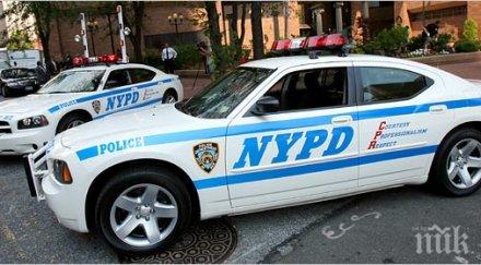 арестуваха близнаци йорк материали бомба