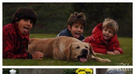 покъртително пик ретро синовете плевнелиев грижат гроба брат