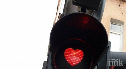 любовни светофари отново изненадаха софиянци снимки