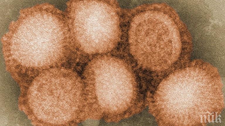 ОПАСЕН ВИРУС! Птичи грип с щам H7N4 тръгна и по хората
