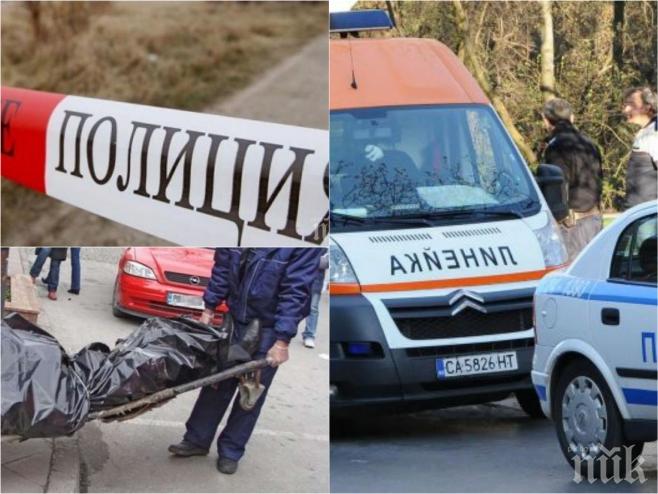 ТРАГЕДИЯ! Глутница кучета пази трупа на починал самотен старец