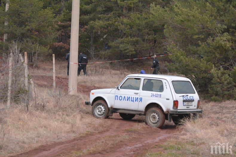 Виждали ли сте Синан? Търсят го под дърво и камък (СНИМКА)