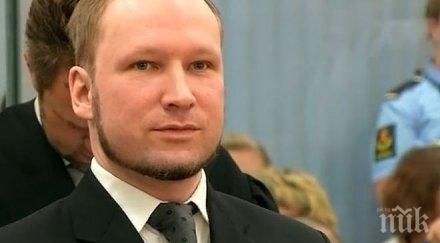 брайвик първи път покая убийства