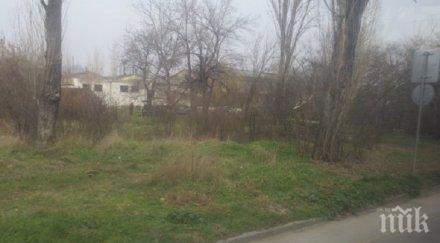 твърда ръка разчистиха клошарското гето пловдивски квартал