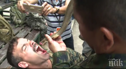 американски тайландски пехотинци пиха змийска кръв време военни игри видео