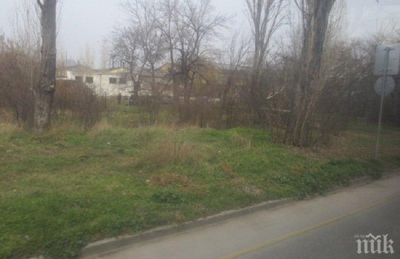 С твърда ръка: Разчистиха клошарското гето в пловдивски квартал