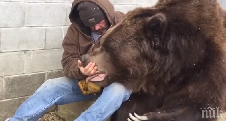 ТРОГАТЕЛНО! Тъжен и самотен 680-килограмов мечок беше утешен с... прегръдки (ВИДЕО)