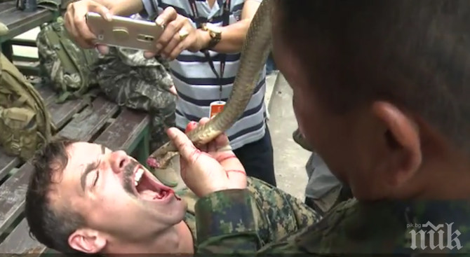 Американски и тайландски пехотинци пиха змийска кръв по време на военни игри (ВИДЕО)