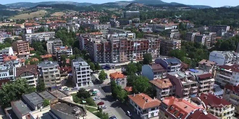 Скандално! Отрязаха 40-годишен бор без разрешение в Кърджали (СНИМКА)