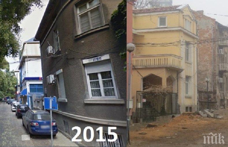 Санитарна сеч скара цяла улица в Пловдив 