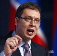 Президентът на Сърбия потвърди намеренията на Белград да купува руски газ чрез „Турски поток“