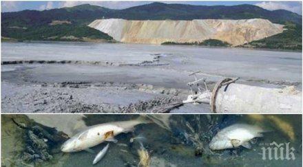 откриха причината мъртвата риба река върбица