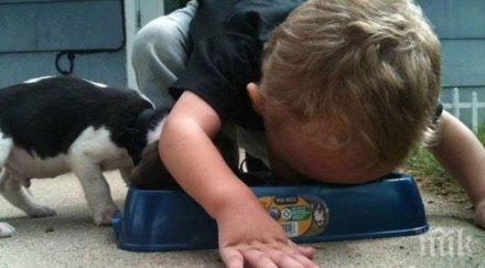 потрес майка храни синовете купичката кучето