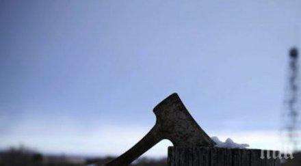 шуменец бере душа брат халосал брадва