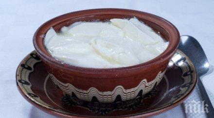 уникум киселото мляко пази инфаркт