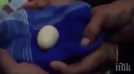 чудо индонезийче снася яйца видео