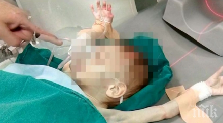 гореща тема домашно насилие децата пловдив полицията твърдят нелеп инцидент