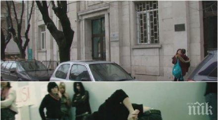 училище зверилник безнаказана агресия русенската гимназия изкуствата