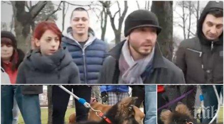 трови кучета парковете софия случаите пострадали домашни любимци десетки