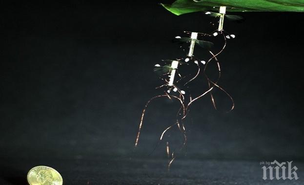 ПЪЛНО ИЗТРЕЩЯВАНЕ! Американците пускат дронове да опрашват вместо пчелите