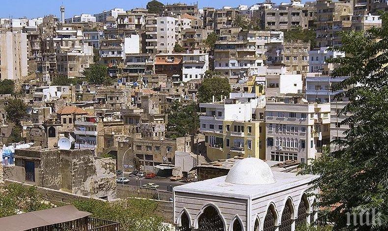 Изчезнало в Австрия тригодишно руско момиченце бе открито в Ливан