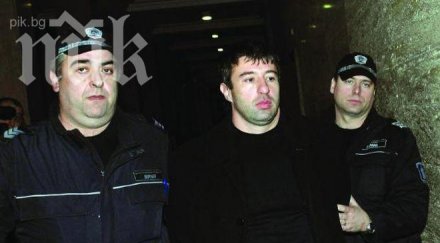 хамстера готов делото октопод