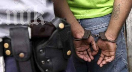 гавра полицията задържала международни наблюдатели изборите