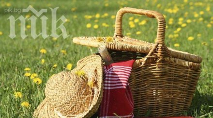 моми ергени събират фестивал