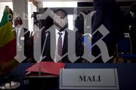 президентът мали обещава избори юли