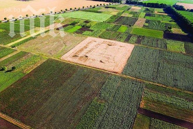 Брюксел ни глоби с 30 млн. лева заради измами в земеделието