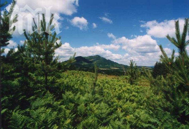 Утре ще е лято – 30 градуса!