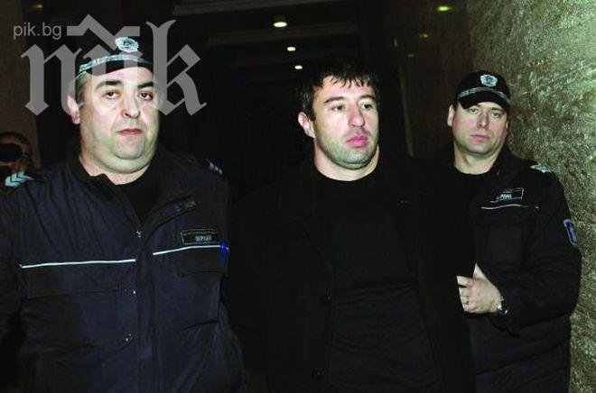 Хамстера готов за делото Октопод