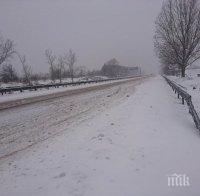 СНЕЖНАТА ФЪРТУНА В ПАЗАРДЖИШКО: Села без ток и закъсали тирове на магистрала 