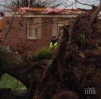 УЖАС В САЩ! Мощно торнадо взе жертви в Кентъки (ВИДЕО)