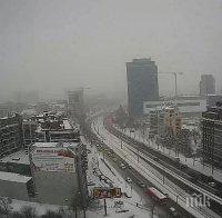 САМО В ПИК! Снеговалежът блокира столицата (СНИМКИ)