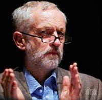 Лейбъристите ще се съюзят с консерватори, които за запазване на митническия съюз в предстоящо гласуване